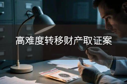高难度转移财产取证案