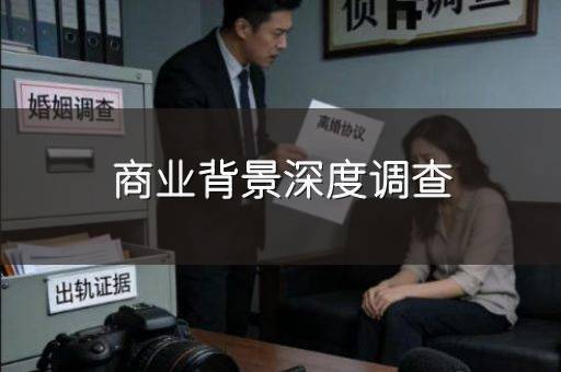 商业背景深度调查