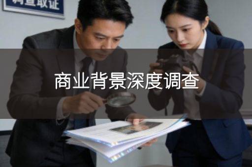 商业背景深度调查
