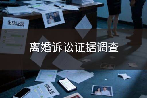 离婚诉讼证据调查