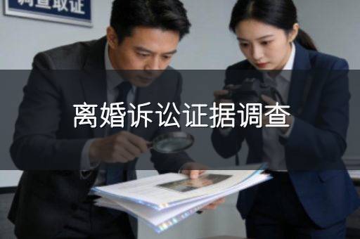 离婚诉讼证据调查